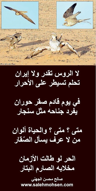 شعر الكسرة والخواطر	