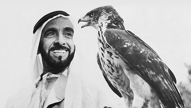 العزّ زايـد والوفـاء فيـه زايـد ... والطيب ما له غير زايد معازيـب