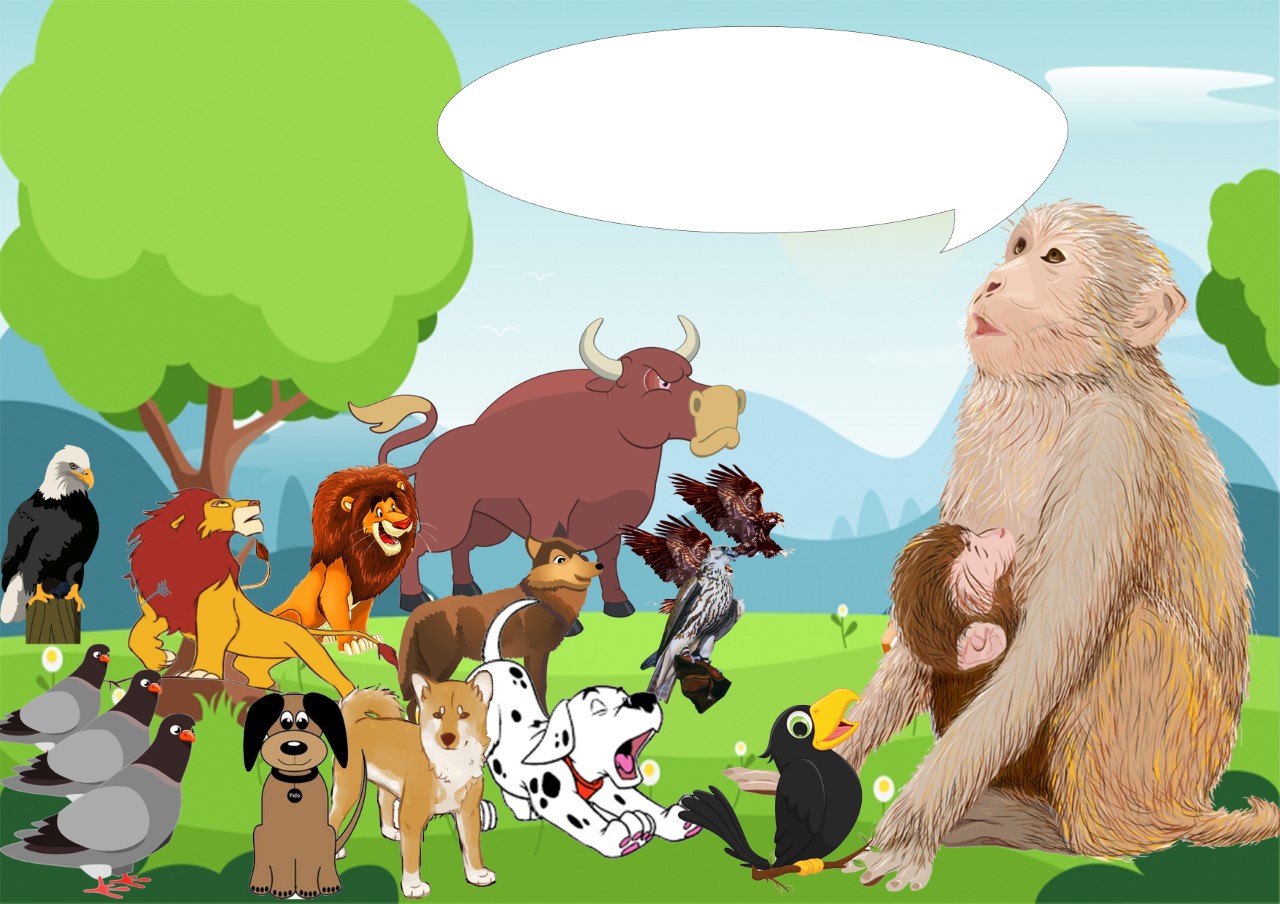 الشعر الفصيح