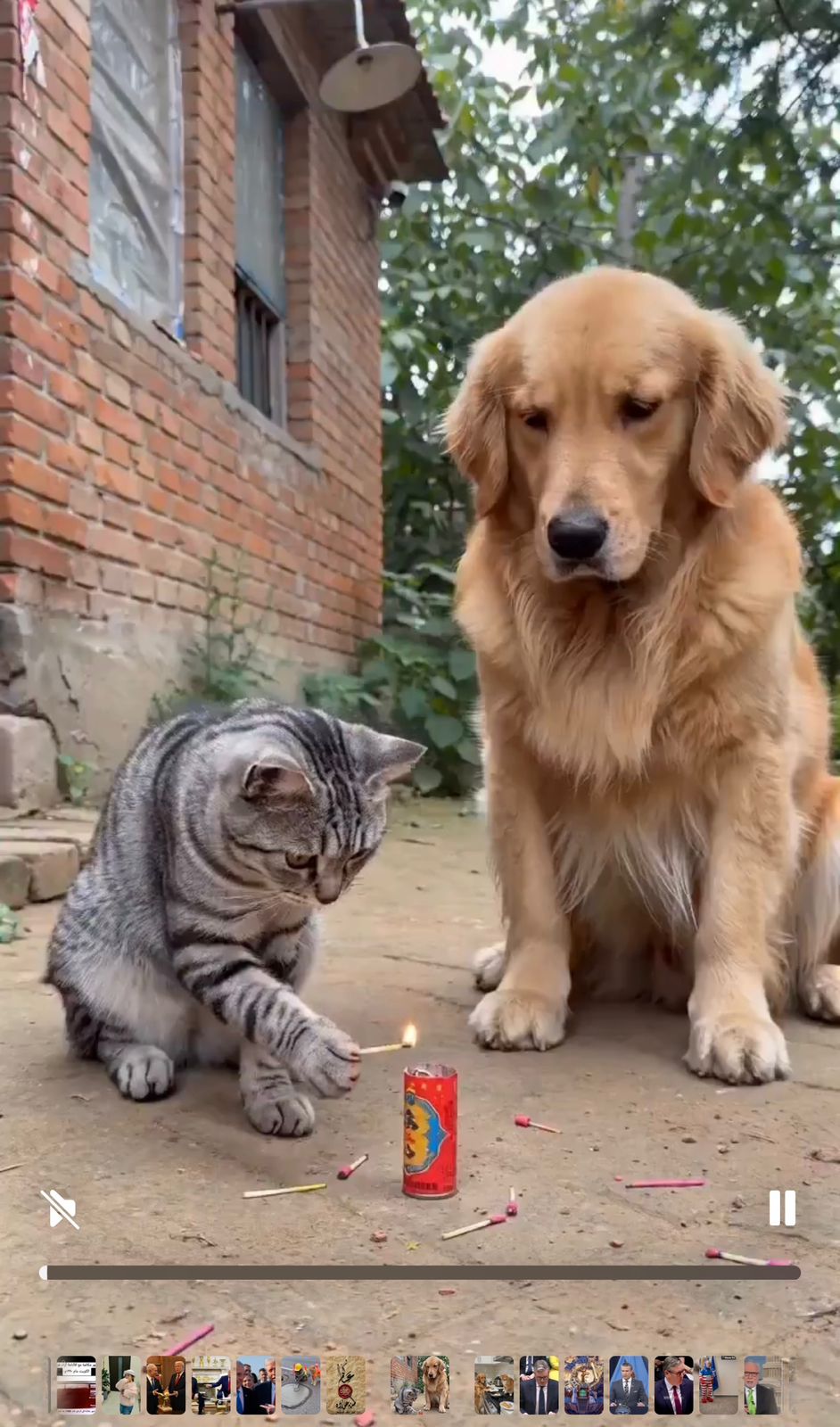 الشعر الفصيح