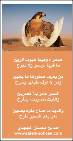 شعر الكسرة والخواطر	