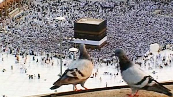 الشعر الفصيح