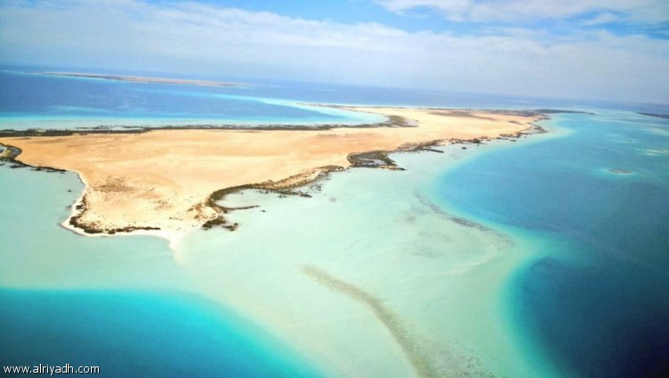 شعر الكسرة والخواطر	