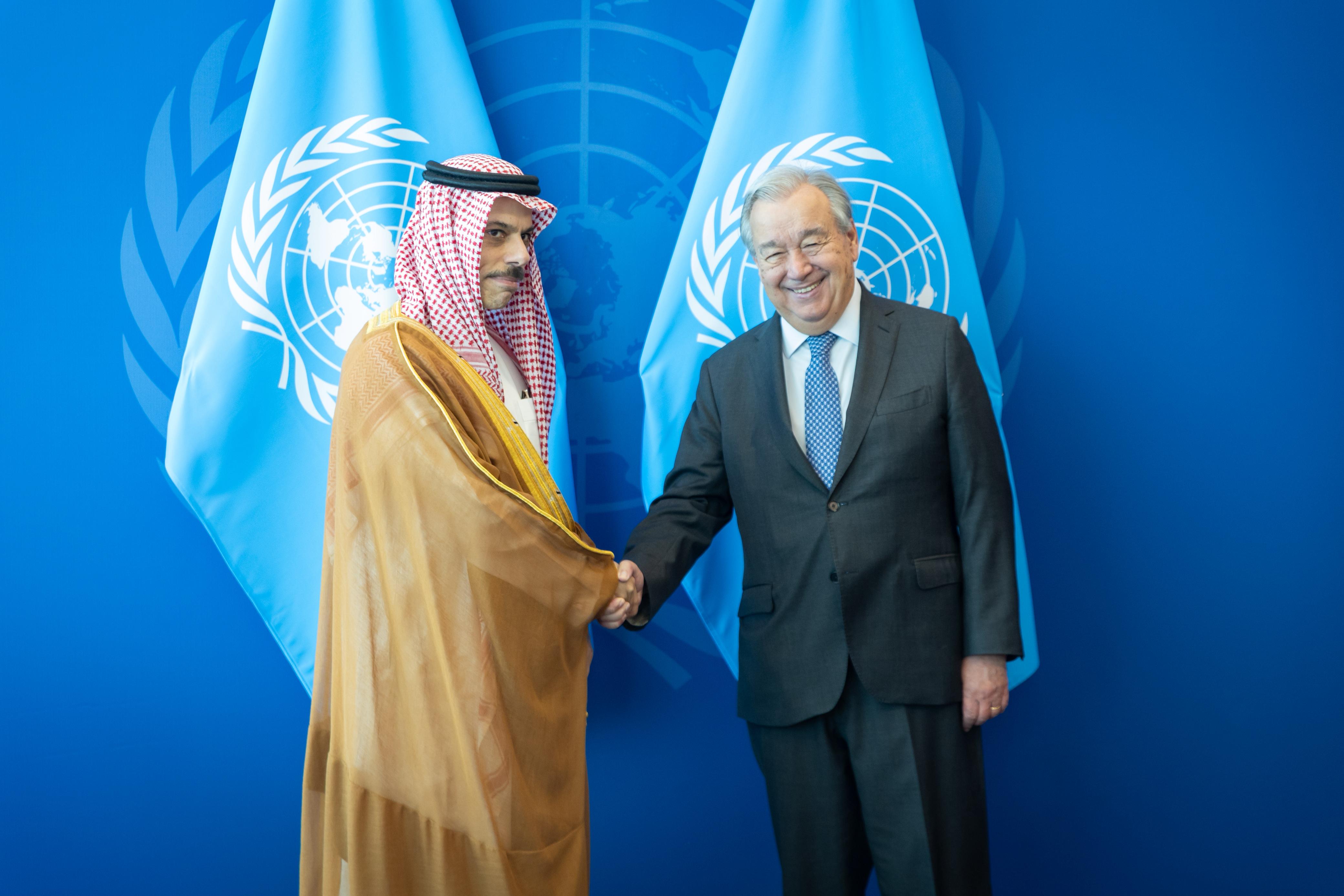 الشعر الفصيح